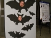 Bat Blitz 2010